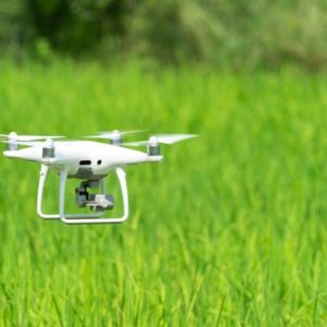 ２等国家資格(初学者)